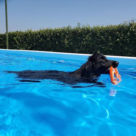 Agriturismo Delizia D'Este Francolino エクステリア 写真