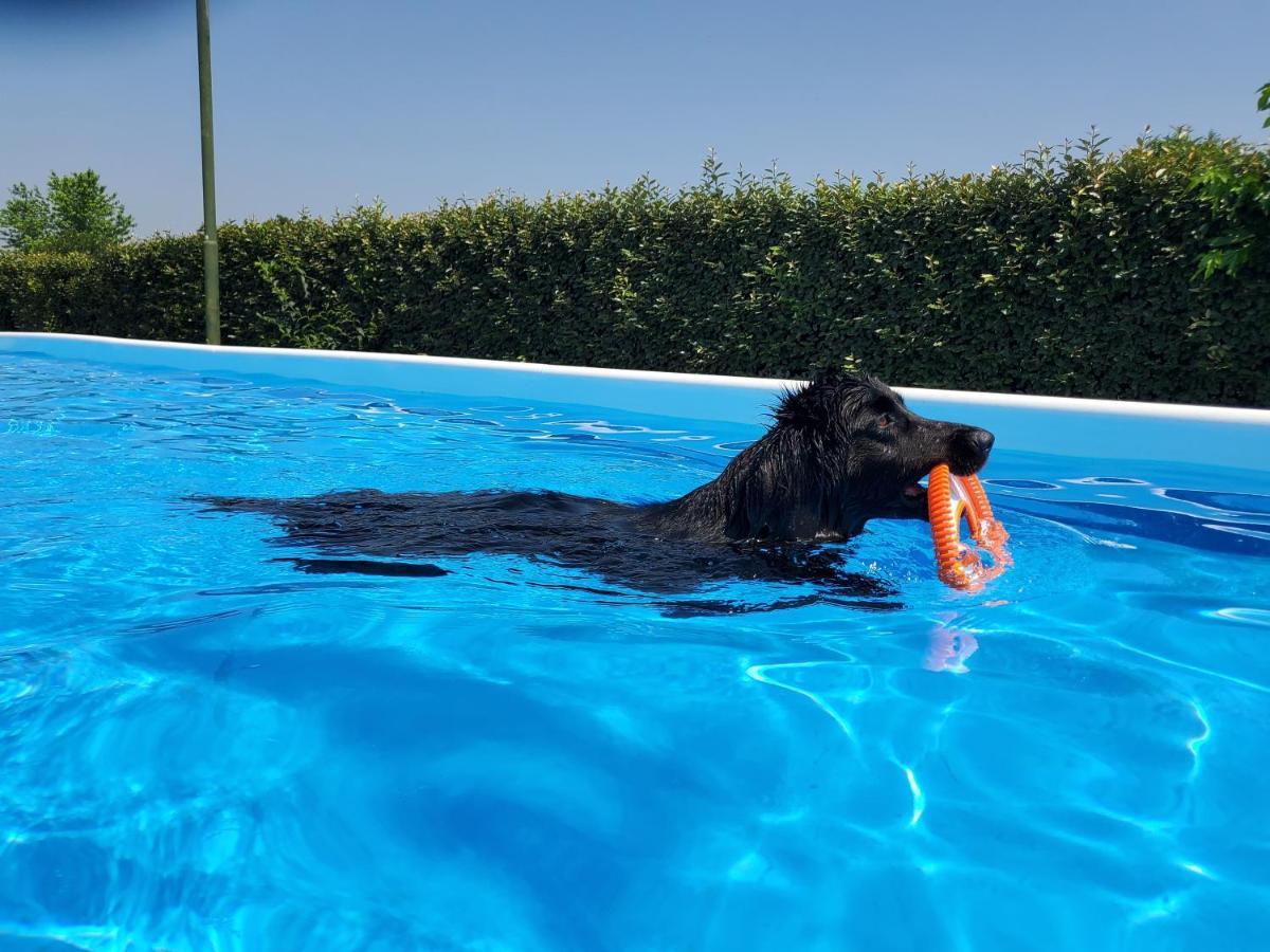 Agriturismo Delizia D'Este Francolino エクステリア 写真